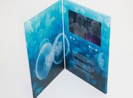 কাস্টম মাল্টি - পৃষ্ঠা ন্যায্য প্রদর্শন জন্য হস্তনির্মিত LCD গ্রাফিক্স কার্ড
